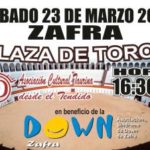 cartel festival px
